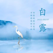 白露已至，節氣微涼